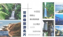 深圳盐田爆料案件最新,真相渐浮水面，警方全力侦破