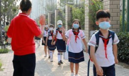 开封爆料小学生事件最新,小学生遭遇校园霸凌事件引发社会关注