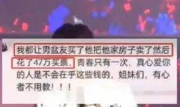 追星爆料最新,最新追星爆料大揭秘