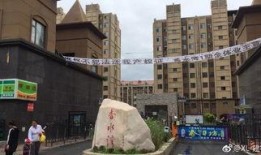 长春最新爆料小区,揭秘神秘事件背后的真相