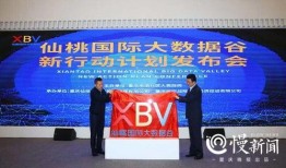 仙桃最新爆料事件新闻发布会,新闻发布会揭秘真相与进展