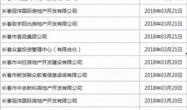 长春爆料专家名单最新,揭秘幕后真相与行业动态