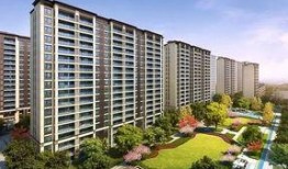 台州最新,揭秘城市热点事件背后的真相