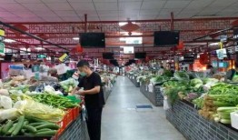 宁夏四季鲜菜价最新爆料,最新爆料揭示市场动态”