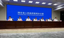 平湖最新爆料案件新闻发布会,新闻发布会揭露案情细节