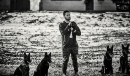 大胡子最新爆料视频,揭秘娱乐圈惊人内幕