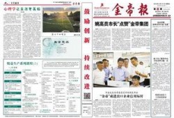 金帝股份最新爆料新闻报道,揭秘公司发展背后的故事