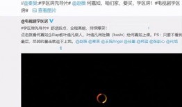 玫瑰之战最新爆料视频网,揭秘幕后真相与精彩瞬间