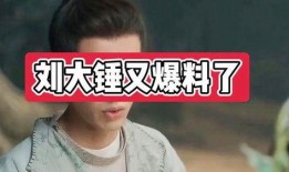 刘大锤爆料最新爆料,揭秘娱乐圈最新惊天秘密！