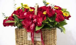 花篮网最新爆料网站下载