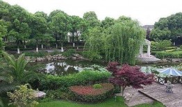 上海别墅爆料视频最新版,奢华背后的惊人真相