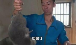 枫丹大叔爆料视频大全最新,揭秘视频大全背后的精彩故事