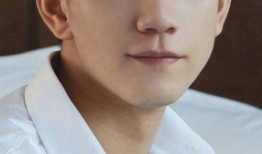 王子奇最新爆料视频播放,幕后真相大公开