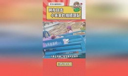 小英一家最新爆料,揭秘家庭生活点滴