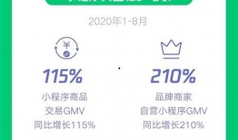 最新时事爆料小程序,热点事件深度解析