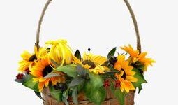 花篮网最新爆料网站下载