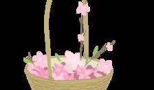 花篮网最新爆料网站下载