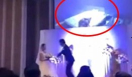 福建新郎爆料视频最新,惊人真相曝光！