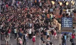 追星爆料最新,最新追星爆料大揭秘