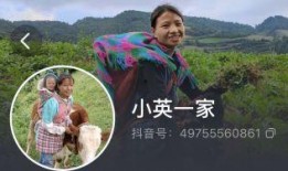 小英一家最新爆料,揭秘家庭生活点滴