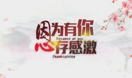 感恩节最新爆料视频大全,精彩瞬间回顾