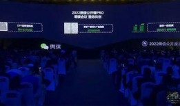 最新爆料雷电将军视频播放,神秘力量觉醒，神秘面纱即将揭晓！